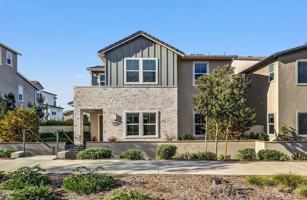 featured image of 349 Loon