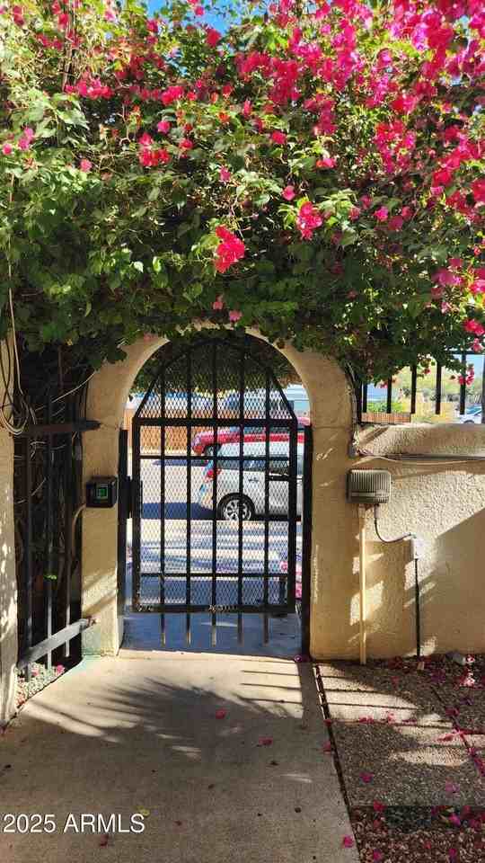 4330 North 5th Avenue #105 - Photo 4 of 18