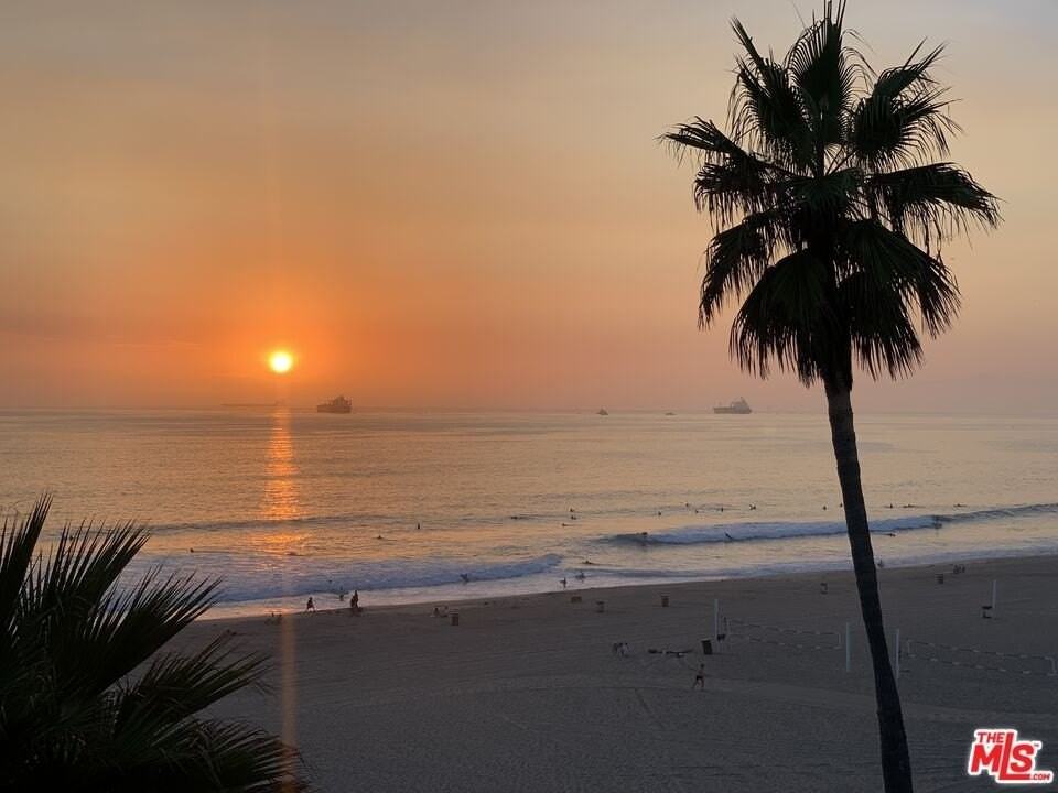 3616 The Strand #C - Photo 3 of 34