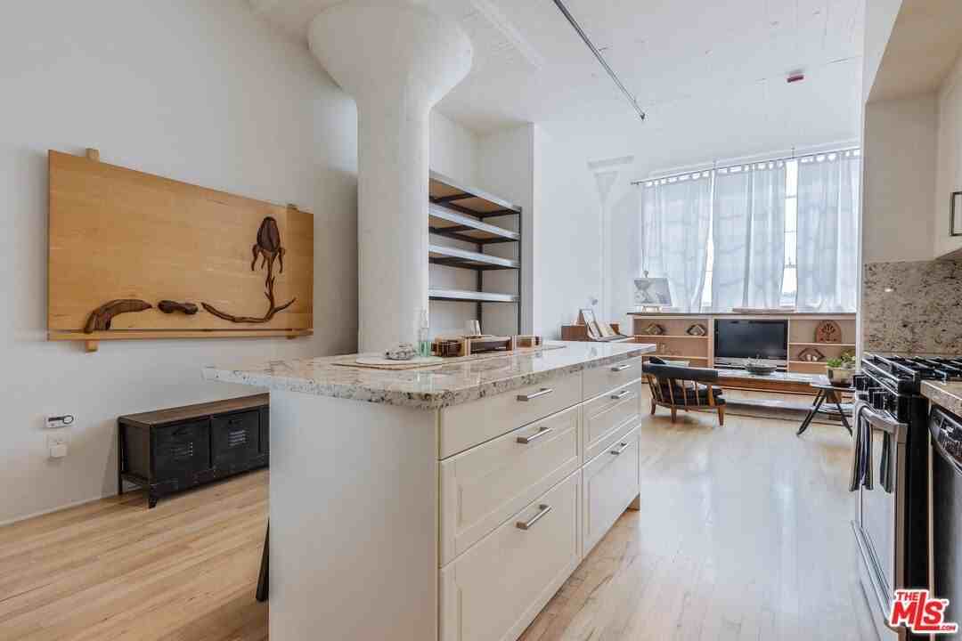 420 South San Pedro Street #423 - Photo 4 of 26