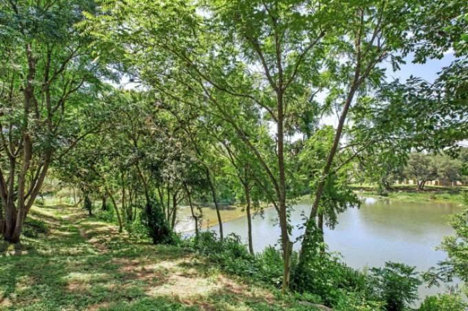 515 Palm Valley Boulevard - Photo 2 of 10