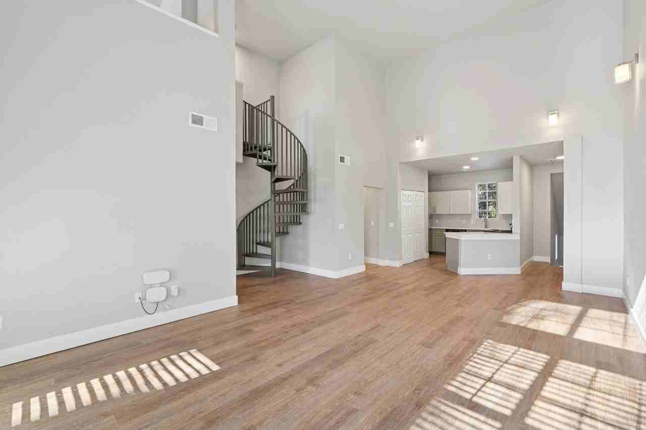 Camellia - Photo 2 of 33