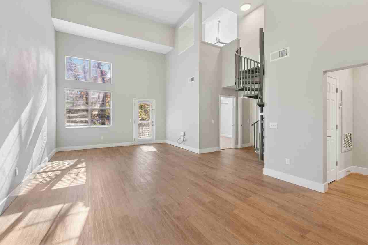 Camellia - Photo 3 of 33