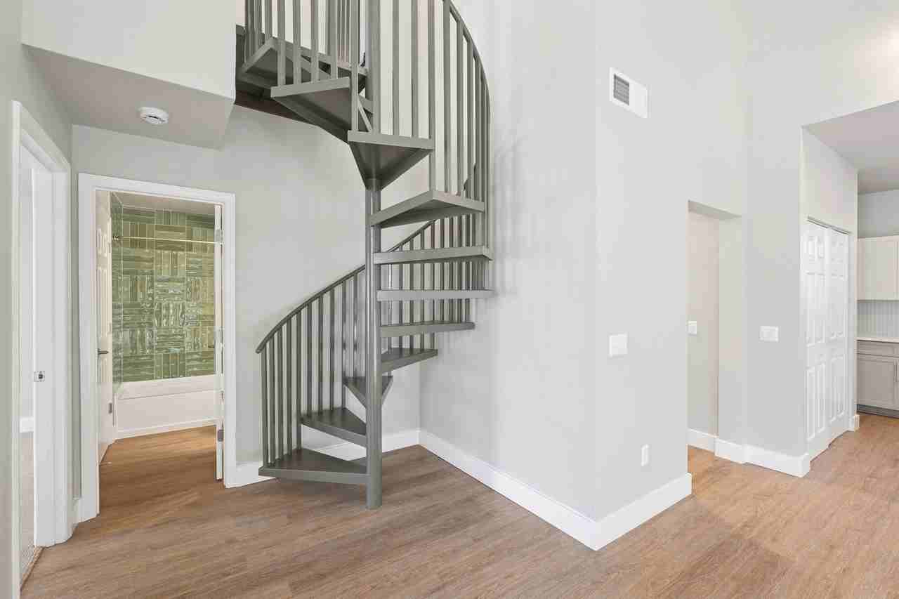 Camellia - Photo 4 of 33