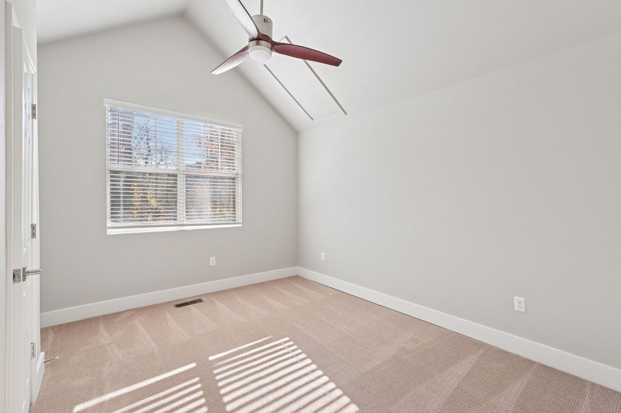 Camellia - Photo 5 of 33