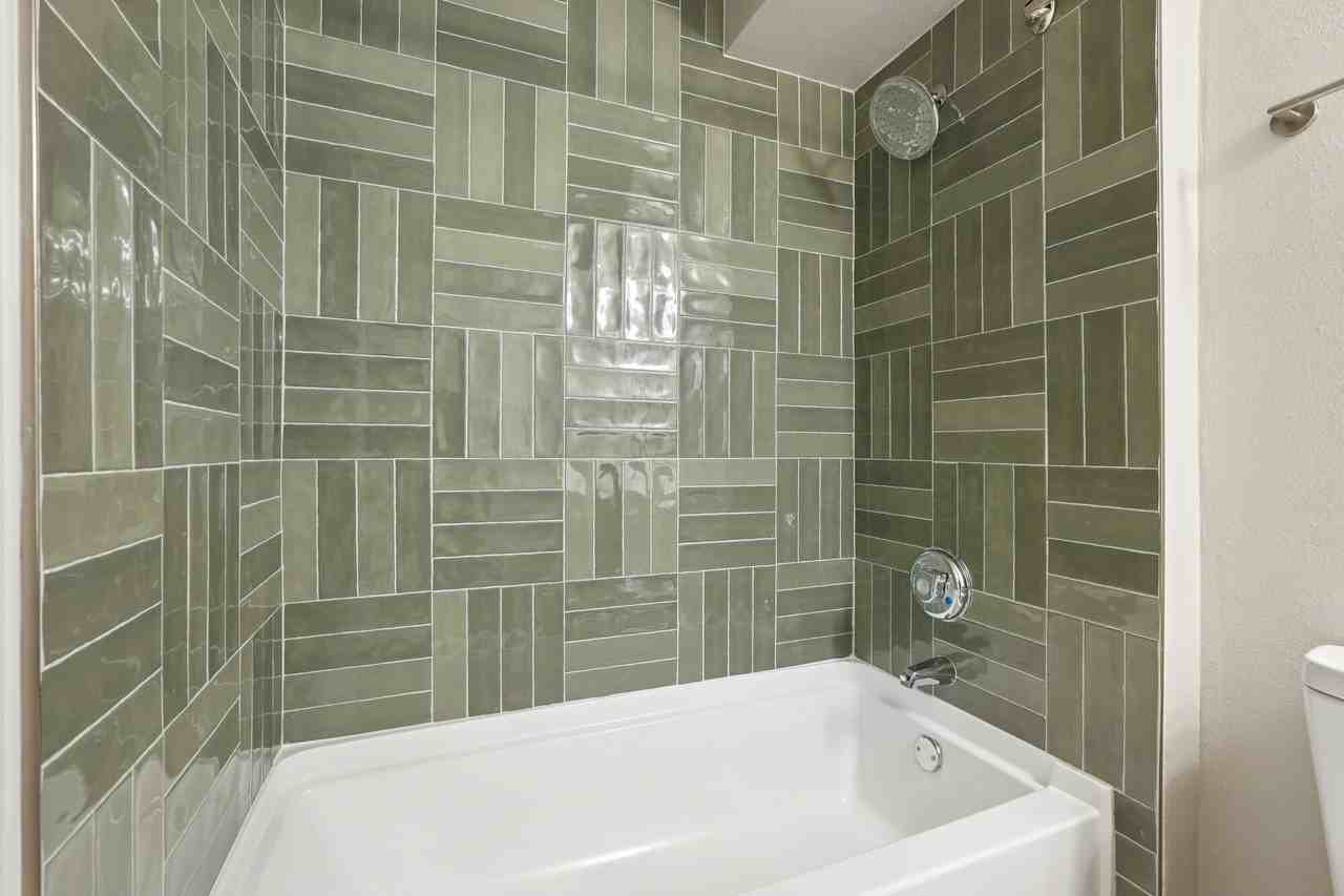 Camellia - Photo 7 of 33