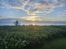 3870 3870 N Highway A1a #202 - Photo 1 of 1