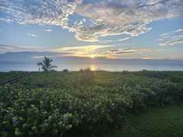 featured image of 3870 Highway A1a #202