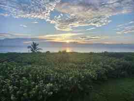 3870 Highway A1a #202 - Photo 1 of 1