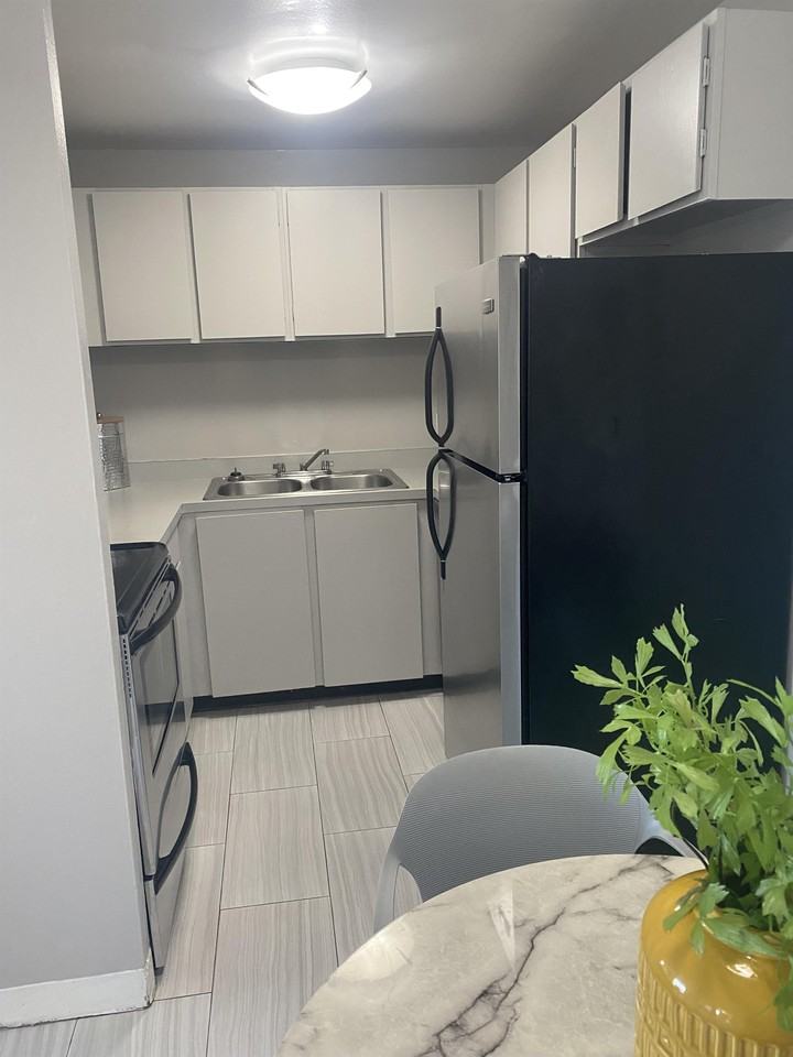 Vida Properties - Photo 2 of 29