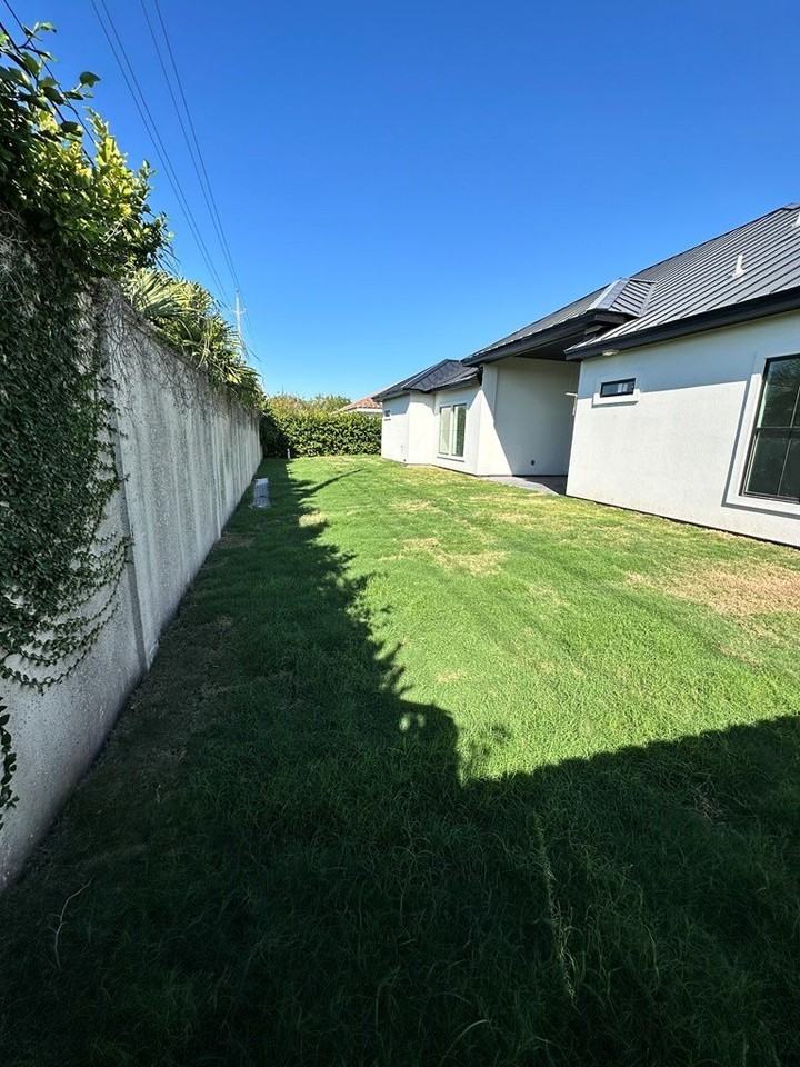 124 Sea Grape Ln - Photo 6 of 50