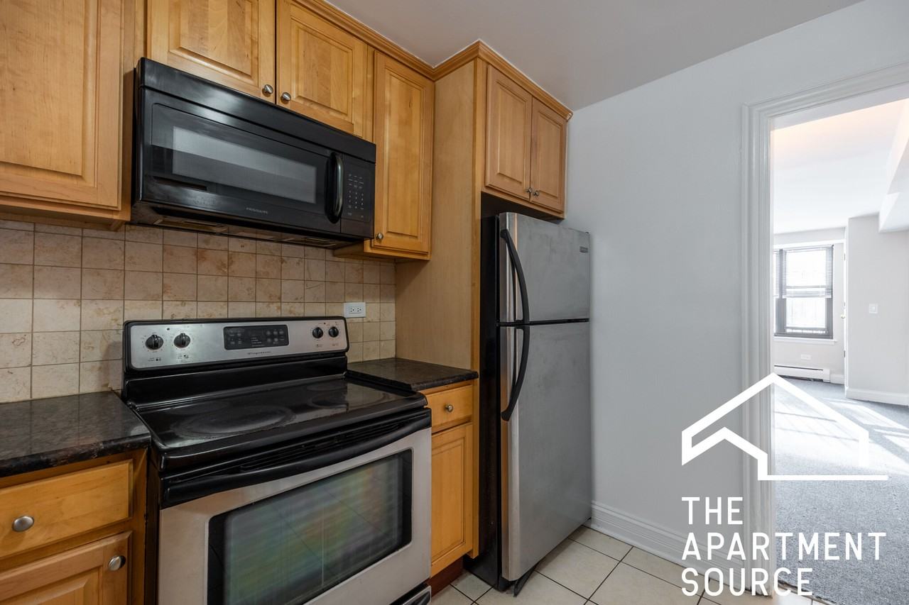 7326 N Ridge Blvd #1E - Photo 6 of 15