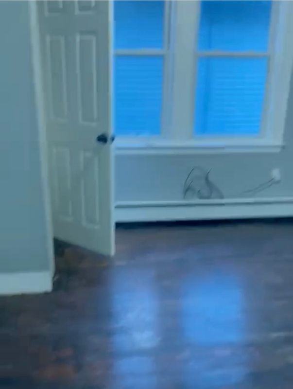 71 Westland Street - Photo 2 of 11