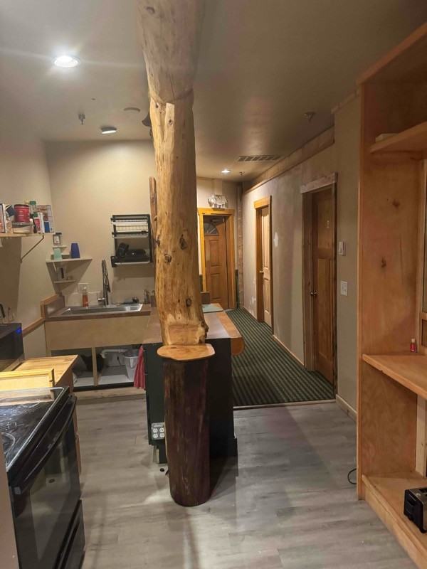 MT-BIGFORK-SWAN - Photo 2 of 10