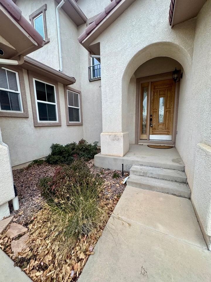 10109 Palisade Ridge Drive - Photo 3 of 50