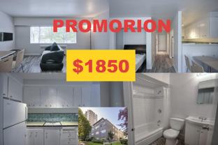 1540 Haro Street #104 - Photo 1 of 1