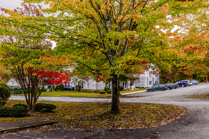 585 Franklin Grove Church Road #2E - Photo 2 of 14