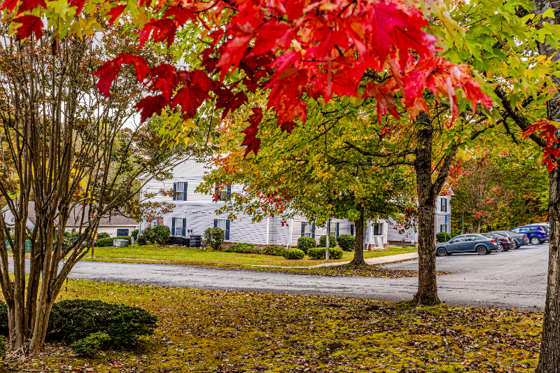 585 Franklin Grove Church Road #2E - Photo 3 of 14