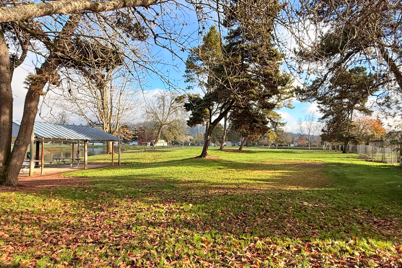 2414 48th Ave - Photo 3 of 20