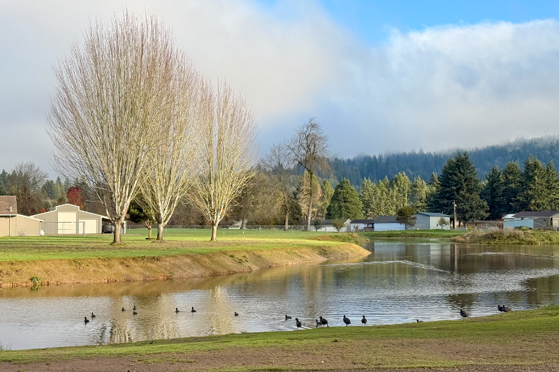 2414 48th Ave - Photo 4 of 20