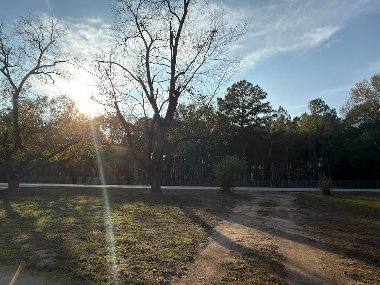 14757 County Road 701 - Photo 3 of 22