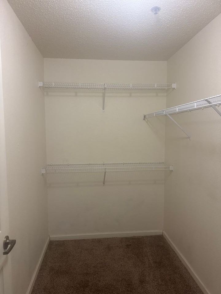 Spring Lake - Photo 6 of 20