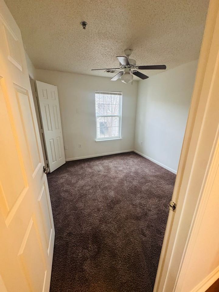 Spring Lake - Photo 5 of 10