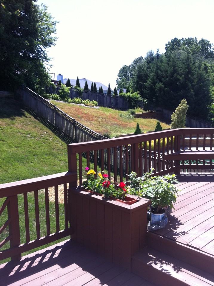 3203 Trellis Lane - Photo 3 of 49