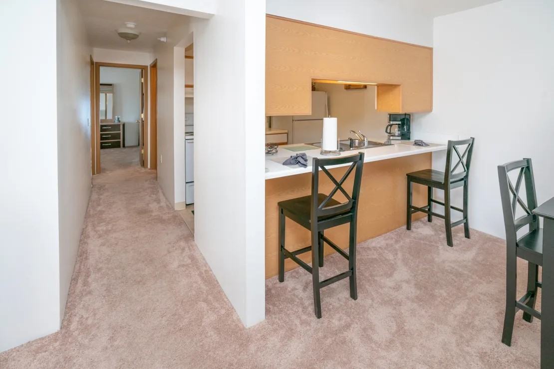 1082 E Chicago Blvd #17 - Photo 4 of 13