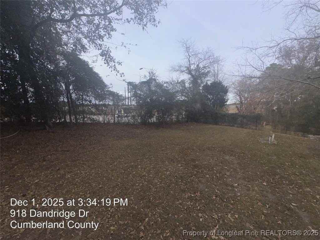 918 Dandridge Drive - Photo 3 of 19