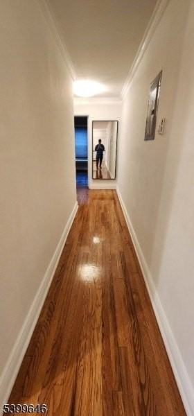 218 Prospect Ave #3C - Photo 6 of 12