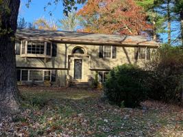 featured image of 19 Pine Street