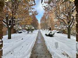 featured image of 6285 West Barry Avenue #1S