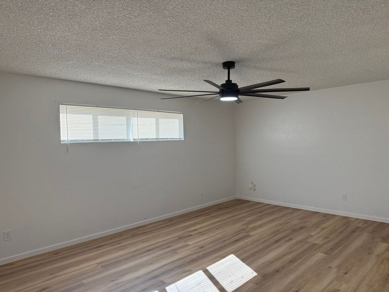 503 E Loyola Dr - Photo 6 of 19