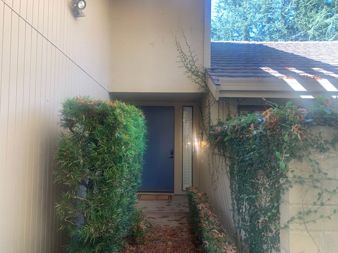 11434 Tunnel Hill Way - Photo 2 of 50