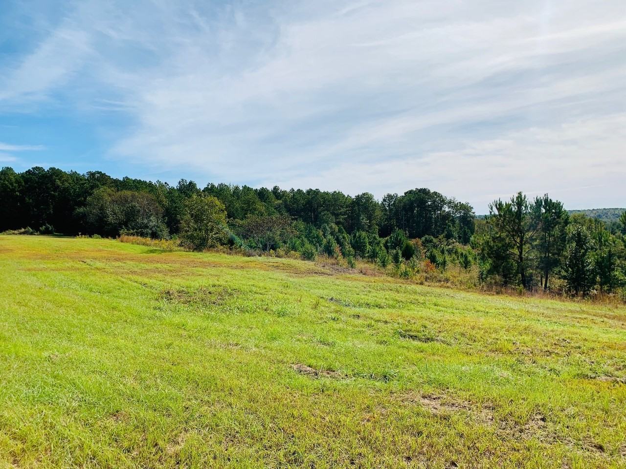 677lr - Photo 5 of 24