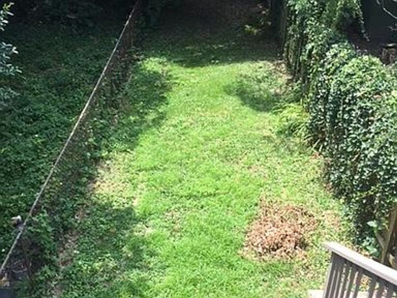 3332 P Street Northwest - Photo 7 of 26