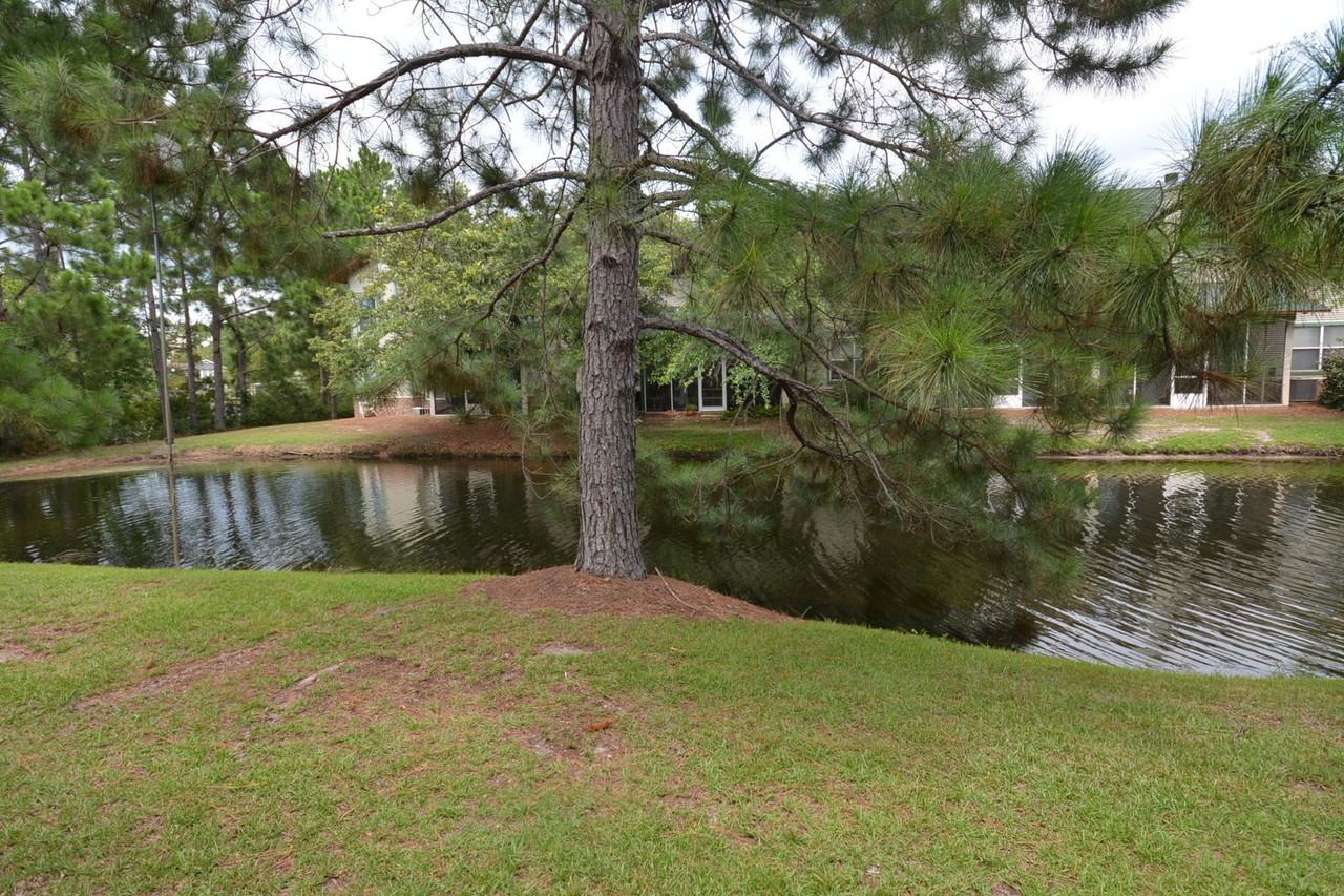 38 Corte Roble - Photo 5 of 11