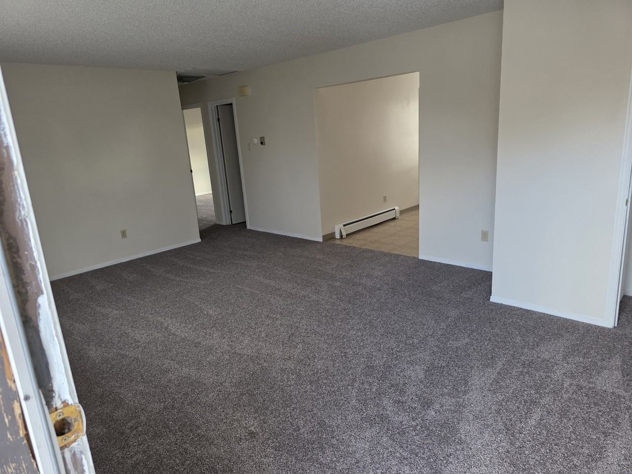 1314 Anita Street #1314