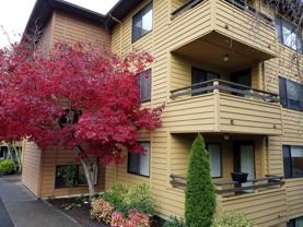 Willow Court Apartments - Photo 1 of 1