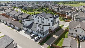 featured image of Price Way/Price Lane/ Price Link