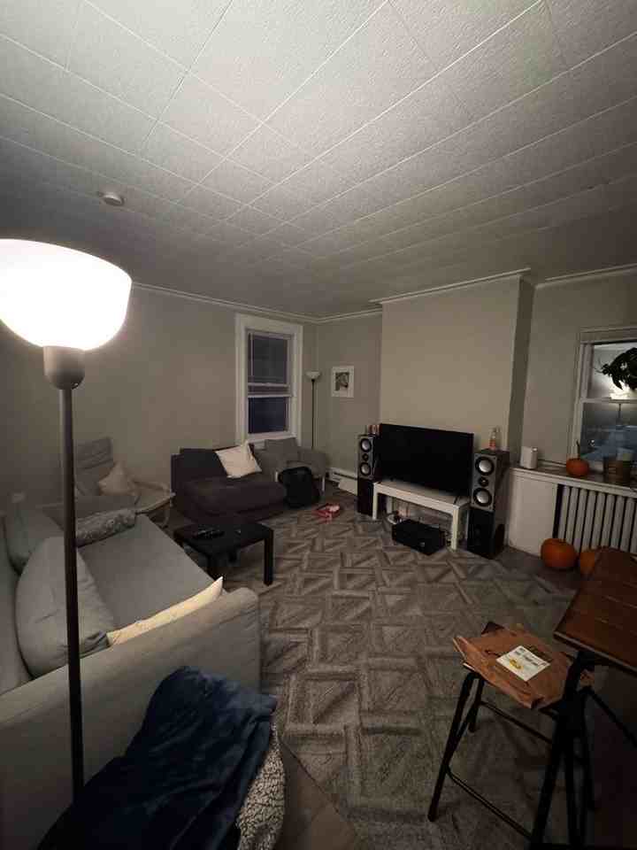 4103 Allequippa Street - Photo 3 of 35