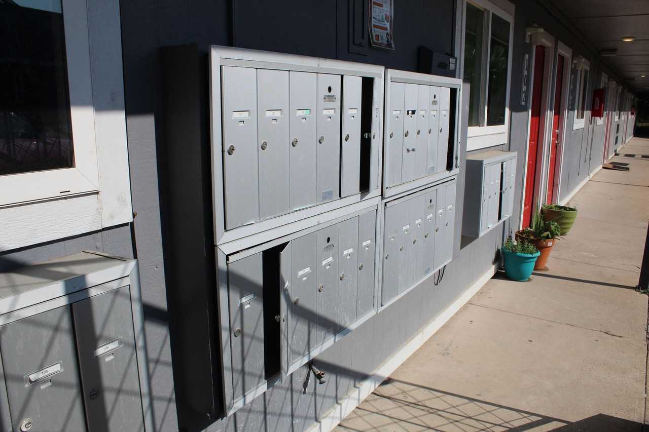 Sunset Palms - Photo 4 of 19