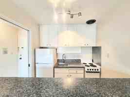 featured image of 833 North Humboldt Street #318