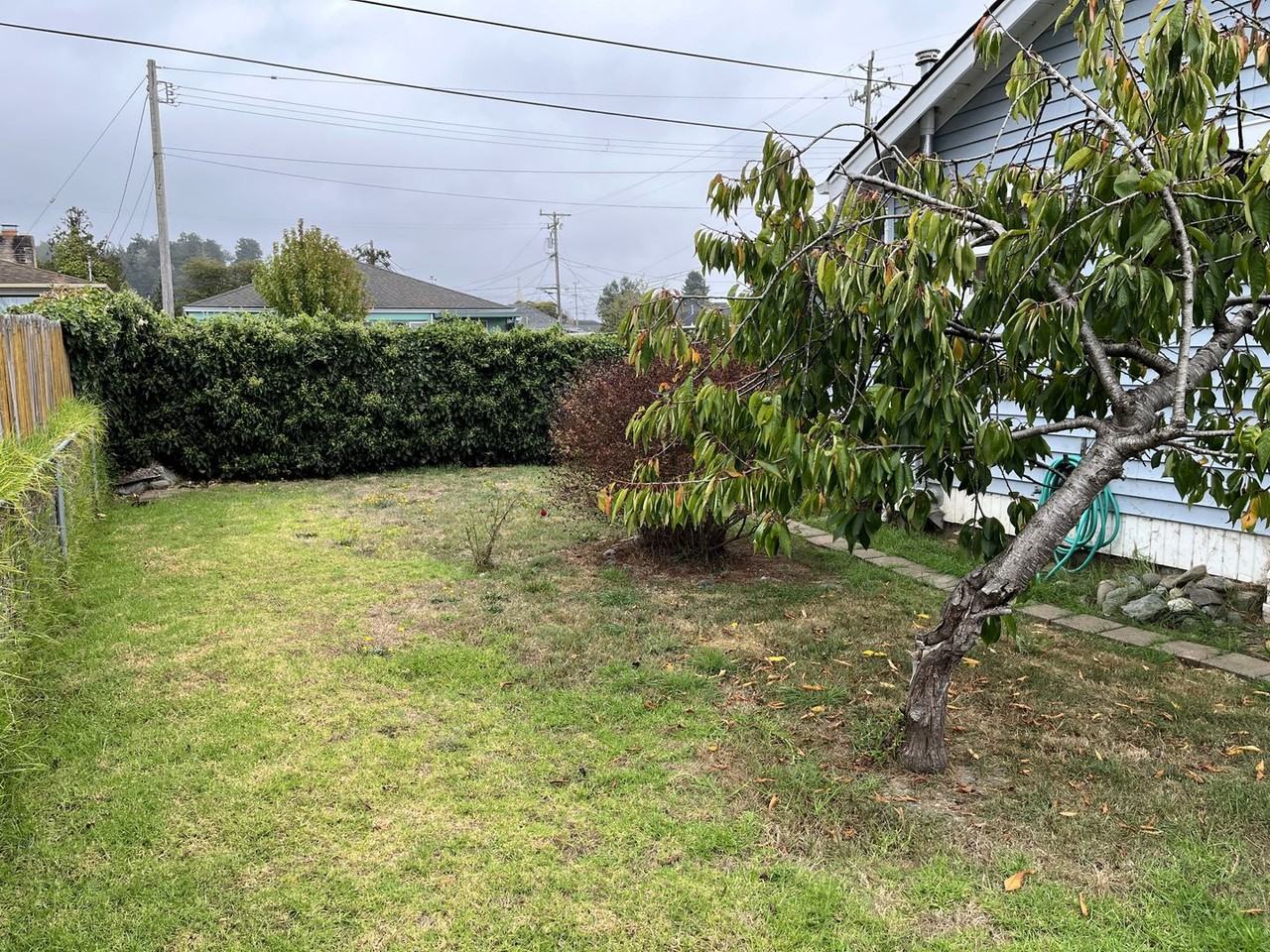 906 11th St - Photo 3 of 19