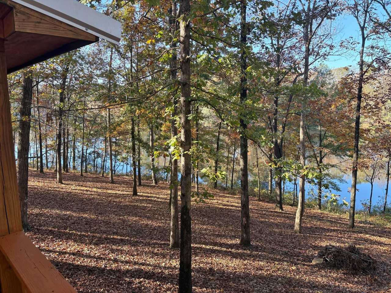 366 County Road 681 - Photo 3 of 19