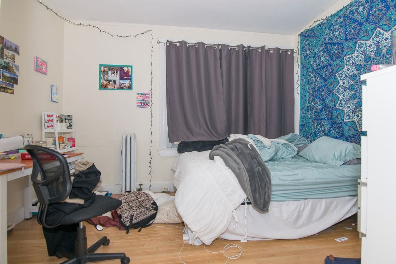 62 Egmont Street - Photo 7 of 10