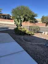 148 East Camino De Diana - Photo 1 of 1