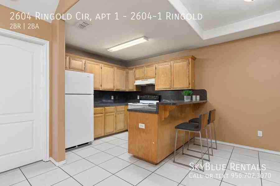 2604 Ringold Cir - Photo 3 of 12