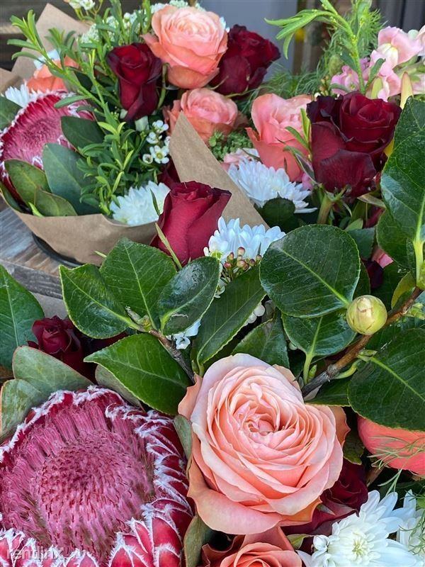 1966 Union St #B - Photo 7 of 12